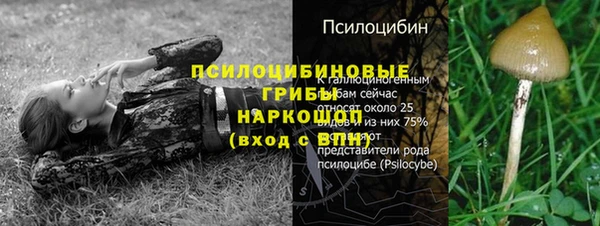 спайс Абаза