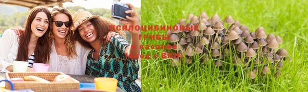 метадон Абинск