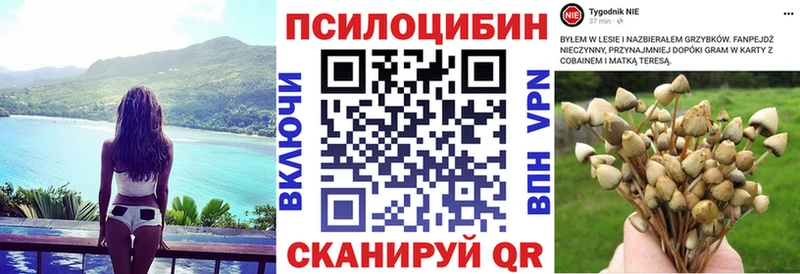 как найти закладки  KRAKEN как зайти  Псилоцибиновые грибы мицелий  Брюховецкая 