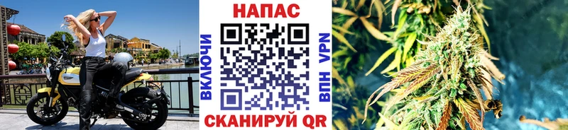 shop какой сайт как найти Брюховецкая Конопля план